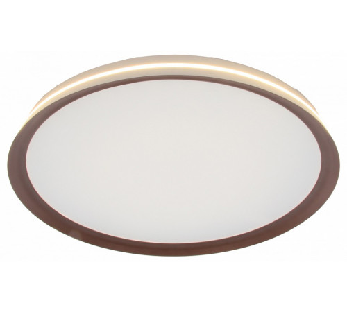 Потолочный светильник Mizi en Titan MZ31502-430