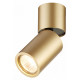 Спот Odeon Light Duetta 3895/1C
