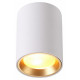 Накладной светильник Odeon Light 4206/1C