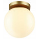 Потолочный светильник Odeon Light 4247/1C