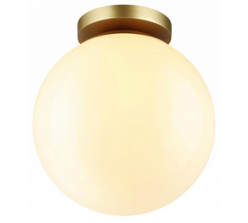Потолочный светильник Odeon Light 4248/1C
