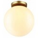 Потолочный светильник Odeon Light 4248/1C