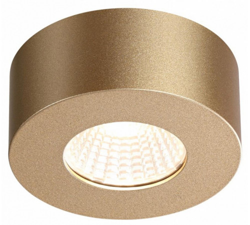 Потолочный светильник Odeon Light Bene 4284/7CL