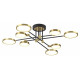 Потолочная люстра Odeon Light Denzel 4320/75CL