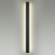 Уличный настенный светильник Odeon Light Fibi 4379/29WL