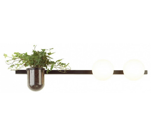 Настенный светильник Odeon Light Flower 4681/2W Настенный светильник Odeon Light Flower 4681/2W