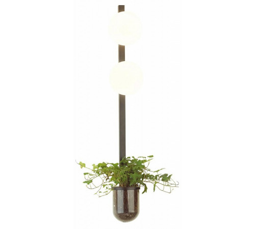 Настенный светильник Odeon Light Flower 4681/2WA