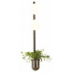 Настенный светильник Odeon Light Flower 4681/2WA