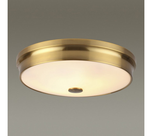 Потолочный светильник Odeon Light 4824/4C