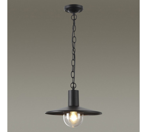 Уличный светильник Odeon Light 4833/1 Уличный светильник Odeon Light 4833/1