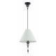 Бра Odeon Light Sochi 4896/1W