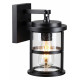 Уличный настенный светильник Odeon Light Magus 4964/1W