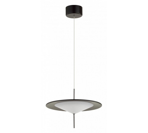 Подвесной светильник Odeon Light Steka 5012/16L Подвесной светильник Odeon Light Steka 5012/16L