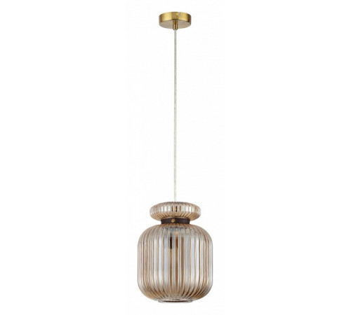 Подвесной светильник Odeon Light Jugi 5042/1A
