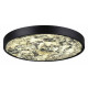 Настенно-потолочный светильник Odeon Light Bergi 5064/40L