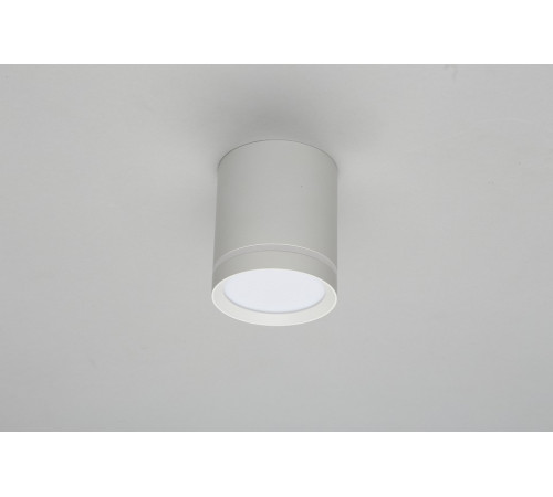 Накладной светильник Omnilux Capurso OML-102429-05