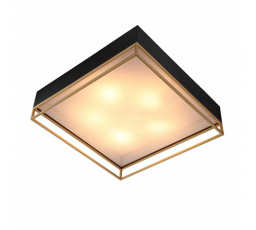 Накладная люстра ST-Luce SL1127.422.05