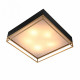 Накладная люстра ST-Luce SL1127.422.05