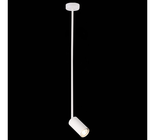 Подвесной светильник ST Luce Sormano SL1206.503.01