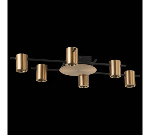 Потолочная люстра ST Luce Veroli SL1207.402.06