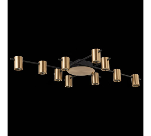 Потолочная люстра ST Luce Veroli SL1207.402.10