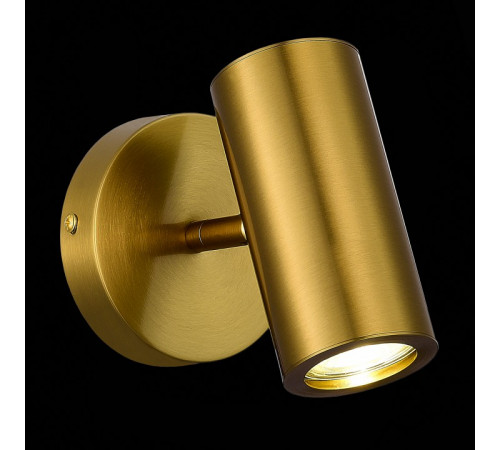 Спот ST Luce Talia SL1215.401.01
