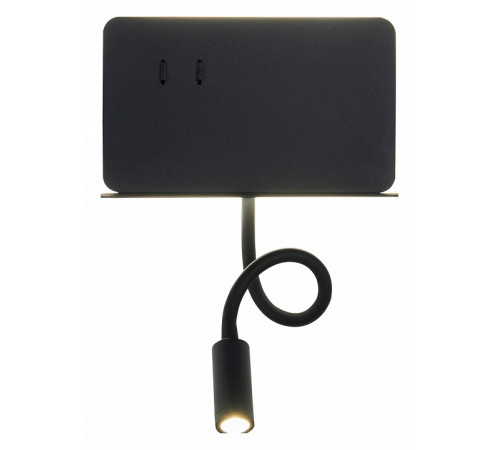 Настенный светильник ST LUCE PINAGGIO SL1576.401.02 Настенный светильник ST LUCE PINAGGIO SL1576.401.02