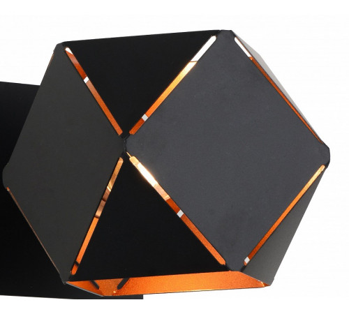 Потолочная люстра ST Luce Enigma SL258.402.05