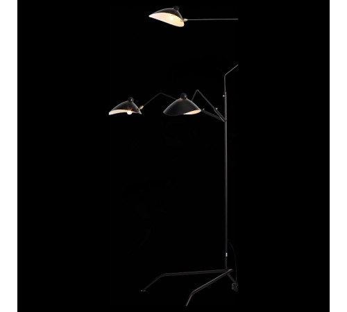 Торшер ST-Luce SL305.405.03