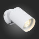 Светодиодный спот ST Luce Fanale SL597.501.01