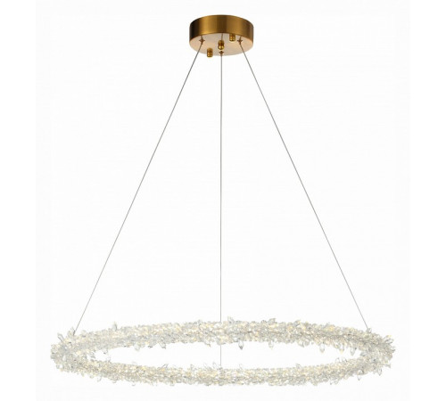 Подвесная люстра ST Luce Lucchero SL6105.213.01