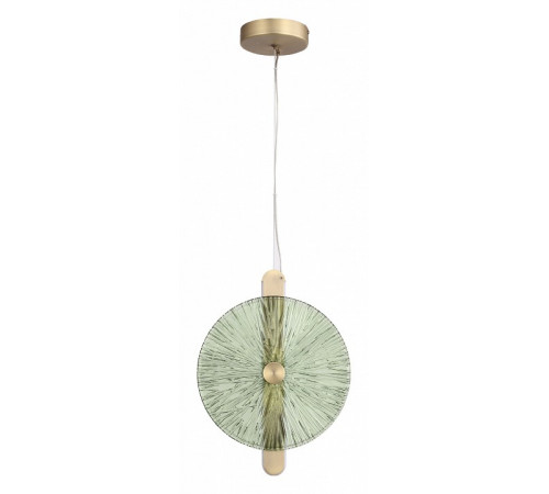 Подвесной светильник ST Luce Wasi SL6141.323.01