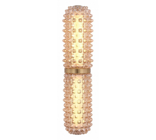 Настенный светильник ST Luce Saguaro SL6144.301.01 Настенный светильник ST Luce Saguaro SL6144.301.01
