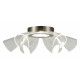 Потолочная люстра ST Luce Fairy SL6235.102.20