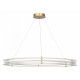 Подвесная люстра ST Luce Fagy SL6245.213.01