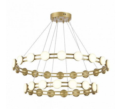 Подвесная люстра ST Luce Monro SL6610.203.36