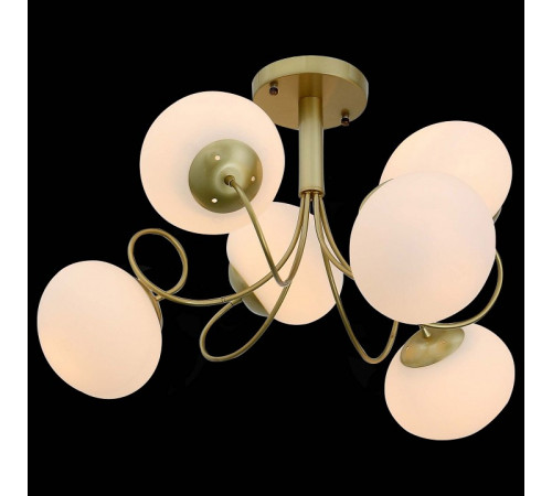 Потолочная люстра ST Luce Acini SL717.202.06