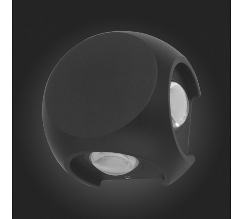Уличный настенный светильник ST Luce Volti SL9505.401.01