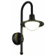 Уличный настенный светильник ST Luce Proche SL9512.401.01