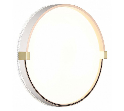 Настенно-потолочный светильник Sonex Olidi white 7646/CL