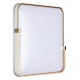Потолочный светильник Sonex Olidi white 7680/EL