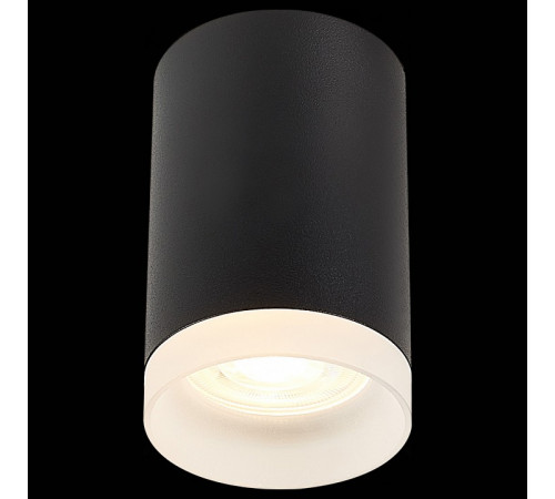 Накладной светильник ST Luce ST100 ST100.402.01 Накладной светильник ST Luce ST100 ST100.402.01