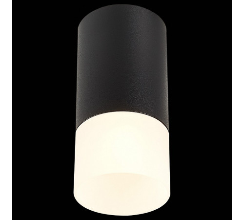Накладной светильник ST Luce ST100 ST100.412.01 Накладной светильник ST Luce ST100 ST100.412.01