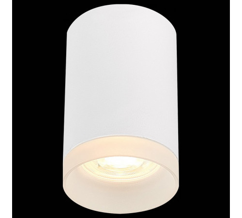Накладной светильник ST Luce ST100 ST100.502.01 Накладной светильник ST Luce ST100 ST100.502.01