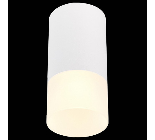 Накладной светильник ST Luce ST100 ST100.512.01 Накладной светильник ST Luce ST100 ST100.512.01