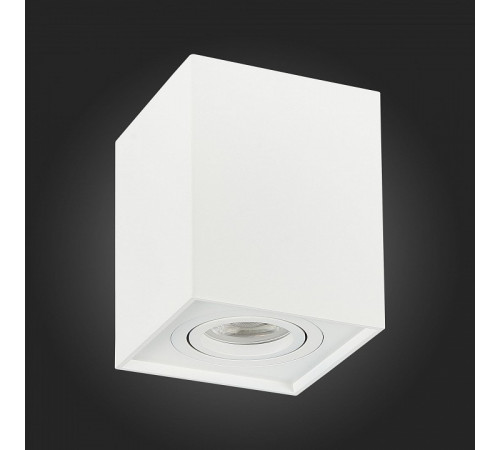 Потолочный светильник ST LUCE ST109.507.01