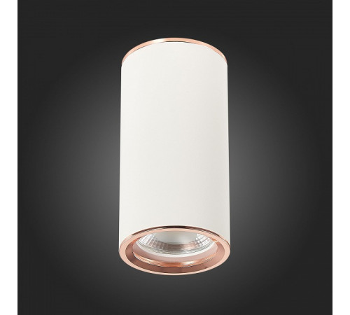 Потолочный светильник ST Luce Chomus ST111.527.01