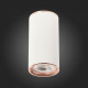 Потолочный светильник ST Luce Chomus ST111.527.01