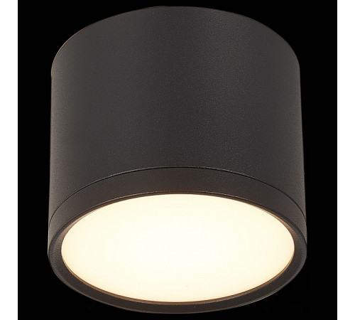 Потолочный светильник ST Luce Rene ST113.432.09 Потолочный светильник ST Luce Rene ST113.432.09