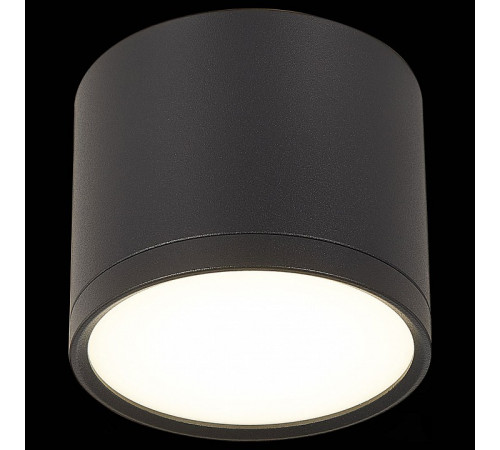 Потолочный светильник ST Luce Rene ST113.442.09